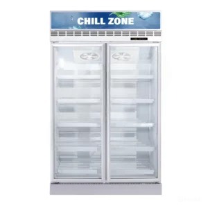Two Door Freezer